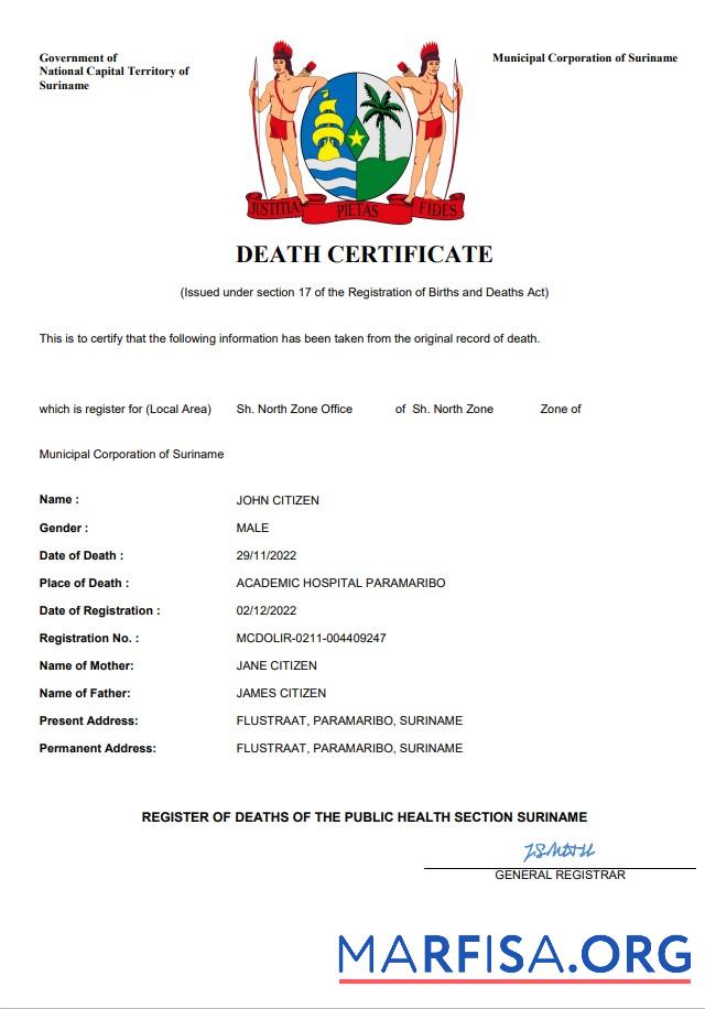 Printable Suriname death certificate Word and PDF template